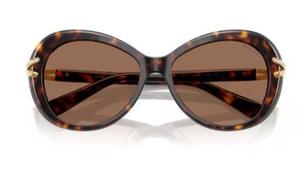 Sonnenbrille Swarovski- 0SK6026 - 100273 - Havana - Größe(n) 56 (XL)