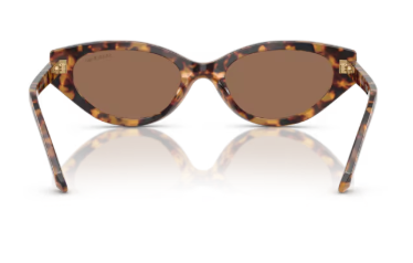 Sonnenbrille Swarovski- 0SK6030 - 104073 - Havana medio - Größe(n) 52 (S)
