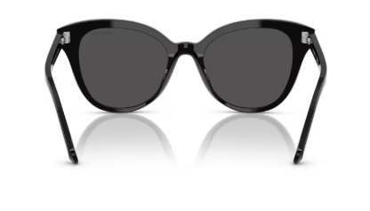 Sonnenbrille Swarovski- 0SK6031 - 100187 - Schwarz - Größe(n) 53 (L)