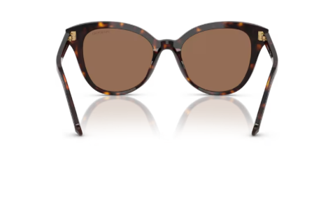 Sonnenbrille Swarovski- 0SK6031 - 100273 - Dunkelhavana - Größe(n) 53 (L)