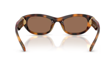 Sonnenbrille Swarovski - 0SK6036U - Farbe : 100273 - Havana - Größe(n) 50 (XS)