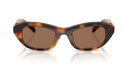 Sonnenbrille Swarovski - 0SK6036U - Farbe : 100273 - Havana - Größe(n) 50 (XS)