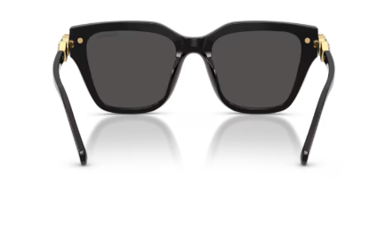 Sonnenbrille Swarovski- 0SK6041 - Farbe: 100187 - Schwarz - Größe(n) 53 (XL)