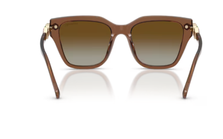 Sonnenbrille Swarovski- 0SK6041 - Farbe: 1067T5 - Braun transparent - Größe(n) 53 (XL)