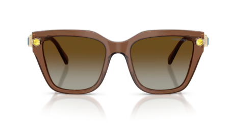 Sonnenbrille Swarovski- 0SK6041 - Farbe: 1067T5 - Braun transparent - Größe(n) 53 (XL)