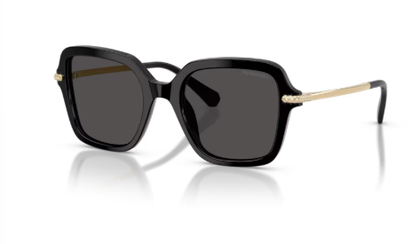 Sonnenbrille Swarovski-  0SK6040 - 100187 - Schwarz - Größe(n) 50 (M)