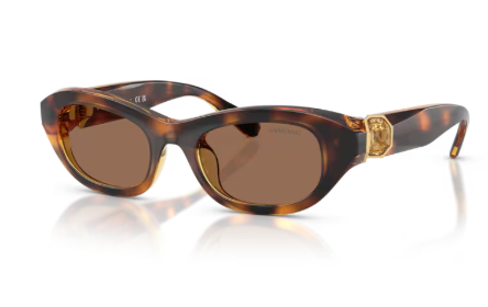 Sonnenbrille Swarovski - 0SK6036U - Farbe : 100273 - Havana - Größe(n) 50 (XS)