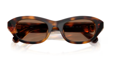 Sonnenbrille Swarovski - 0SK6036U - Farbe : 100273 - Havana - Größe(n) 50 (XS)