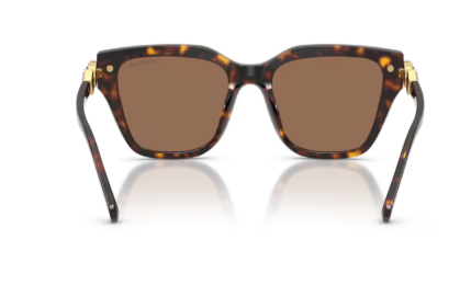 Sonnenbrille Swarovski- 0SK6041 - Farbe: 100273 - Havana - Größe(n) 53 (XL)